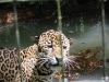 Belize 055